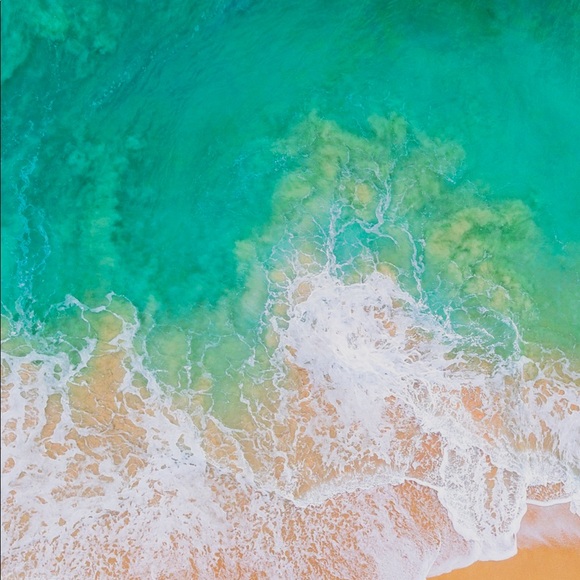 Meet your Posher, Opy - Picture 1 of 1